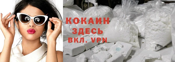 мдпв Рославль