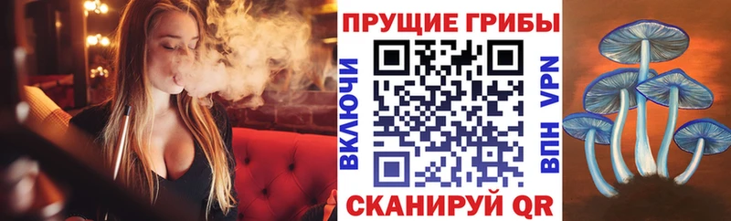 Псилоцибиновые грибы мухоморы  Спас-Деменск 
