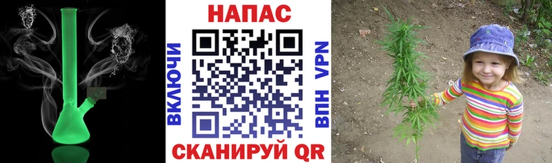 купить наркотик  Спас-Деменск  Шишки марихуана сатива 